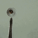 Bimetal coil reacts to lighter.gif
