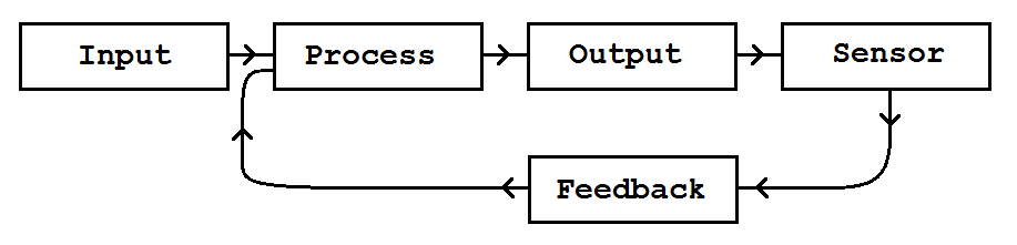 Input Process Output plus Feedback