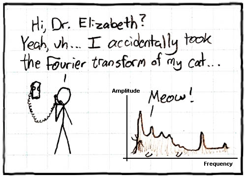 Fourier Cat